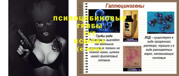 Альфа ПВП Белокуриха