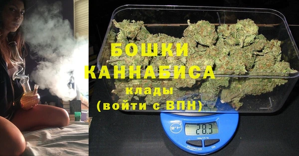 PSILOCYBIN Богданович