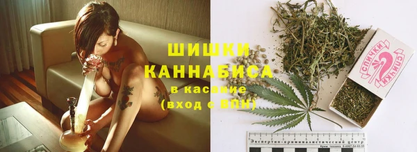 PSILOCYBIN Богданович